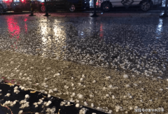 “最怕三九不下雪”三九不下雪有啥前兆
