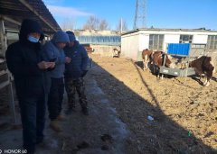 中国大地安全多措并举护航农业出产 帮力