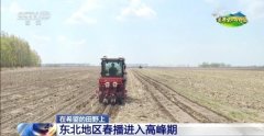 <b>正在但愿的郊野上丨东北春播进度近三成</b>