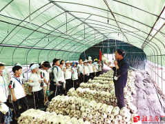 驻马店市农科院联袂东祥小学开展农业科