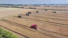 “三夏”出产一线察看|智能农业“慧”