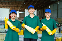 <b>高质量成长丨小特产变身大财产 集群化成</b>