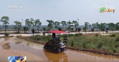 农技护航、聪慧耕田 “三夏”时节各地都